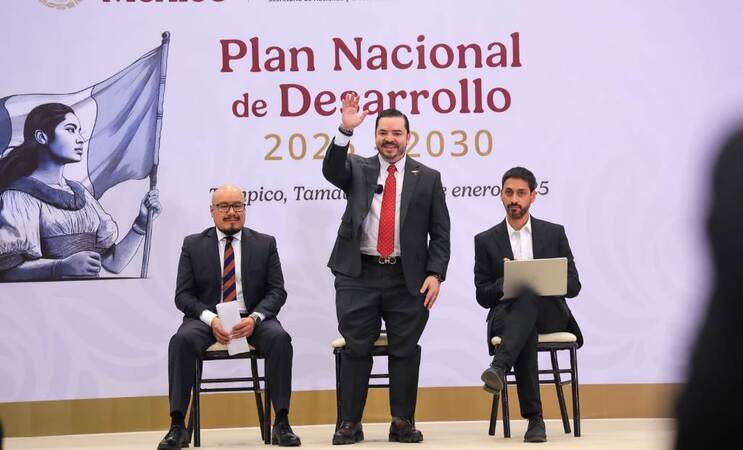 Desarrollo, Plan, Consulta