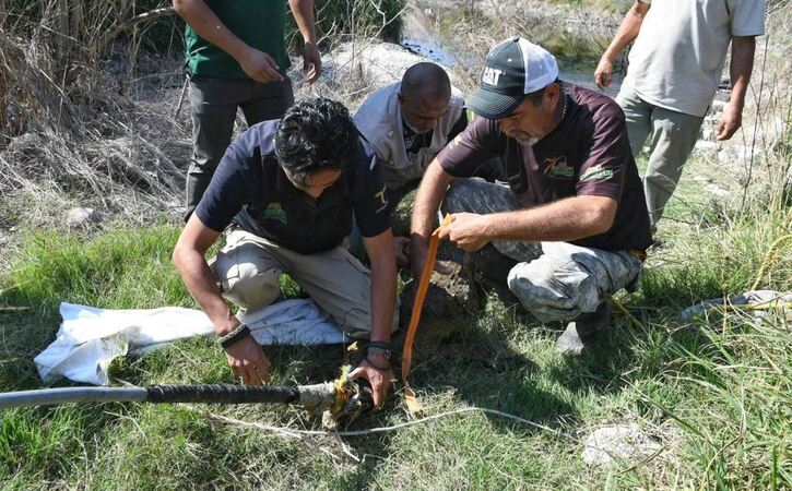 Biodiversidad, Oficial, Parques