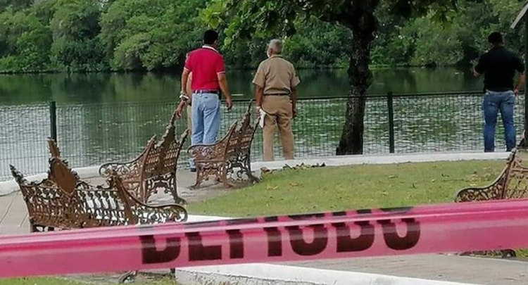 Cocodrilo Mata A Hombre Tras Caer A La Laguna Del Carpintero En Tampico Noticiasdetamaulipas Com